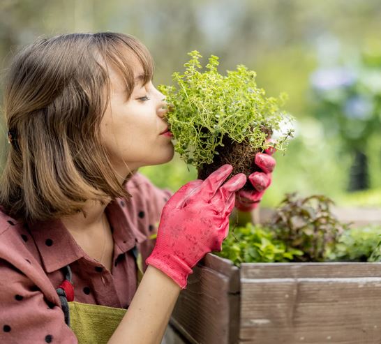 The art of growing your own food